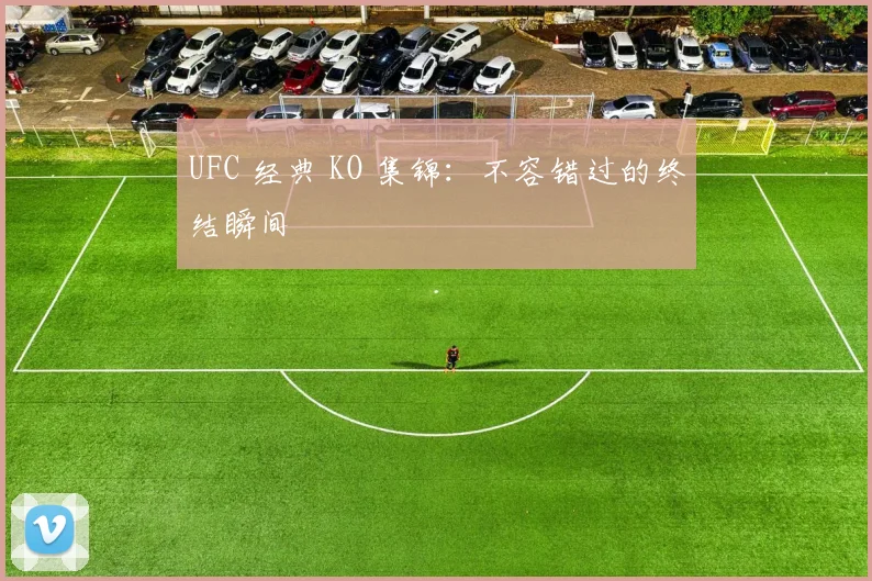 UFC 经典 KO 集锦：不容错过的终结瞬间