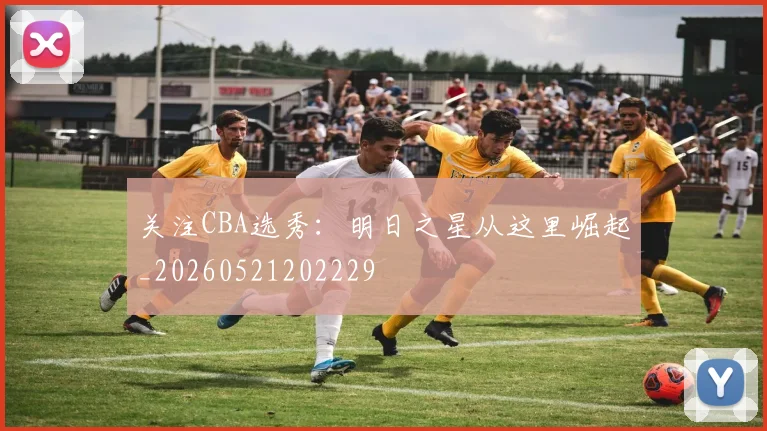 关注CBA选秀：明日之星从这里崛起_20260521202229