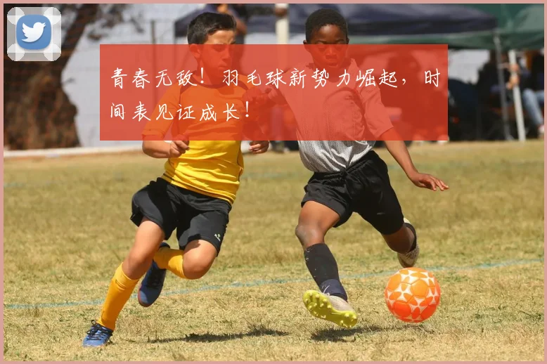 青春无敌！羽毛球新势力崛起，时间表见证成长！