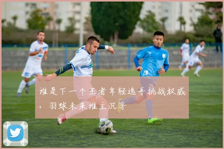 谁是下一个王者年轻选手挑战权威，羽球未来谁主沉浮